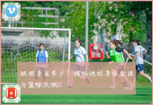 姚明身高多少？揭秘他的身体数据与篮球天赋