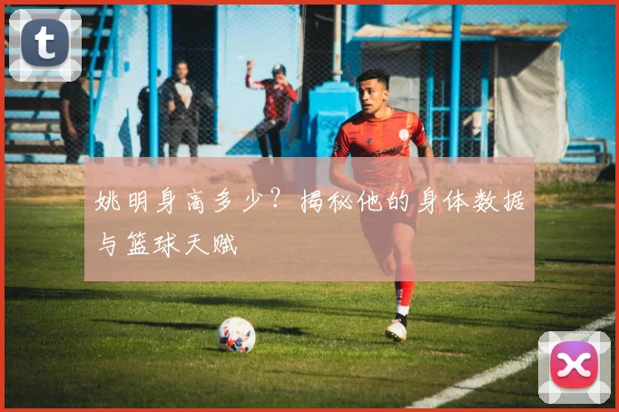 姚明身高多少?揭秘他的身体数据与篮球天赋